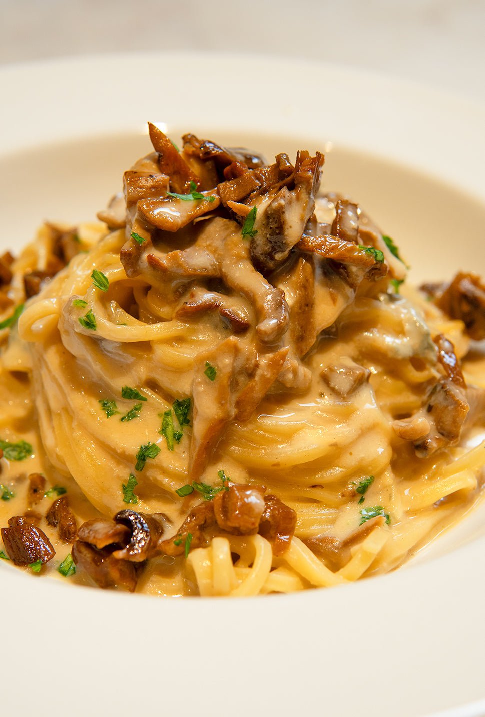 tagliolini with gorgonzola fondue and porcini.