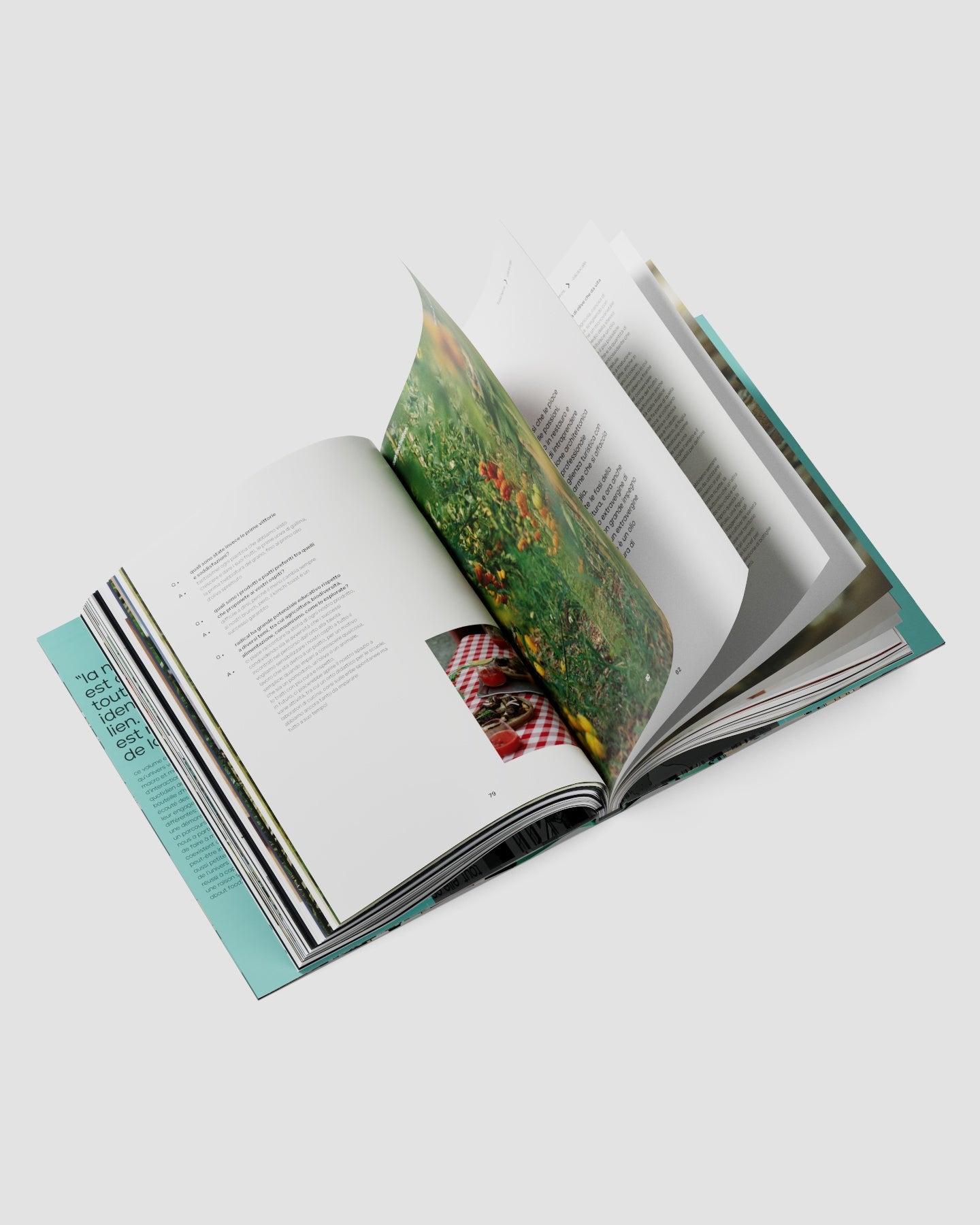 Food Matters | English