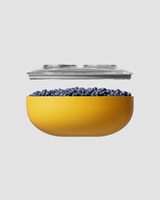 vacuum seal storage containers yellow