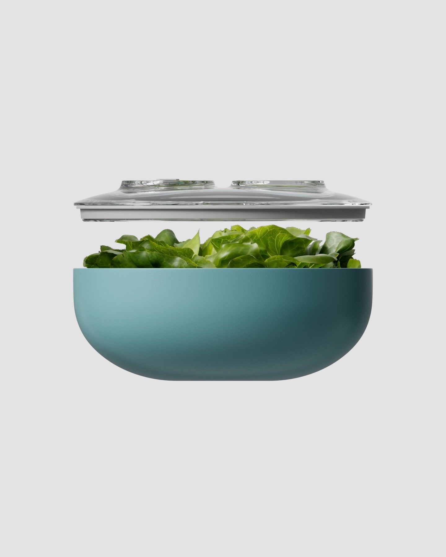 vacuum seal storage containers ocean