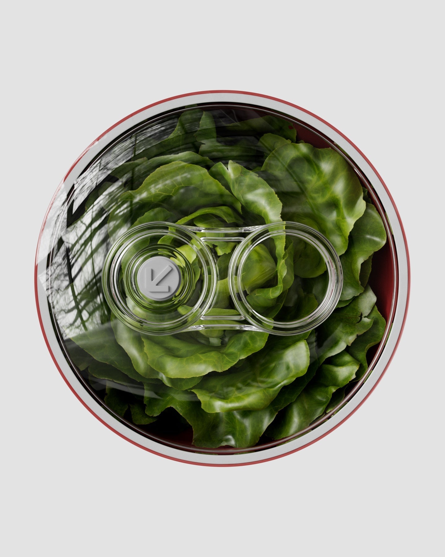 Contenitore Sottovuoto 1,5 L | Porpora Corallo