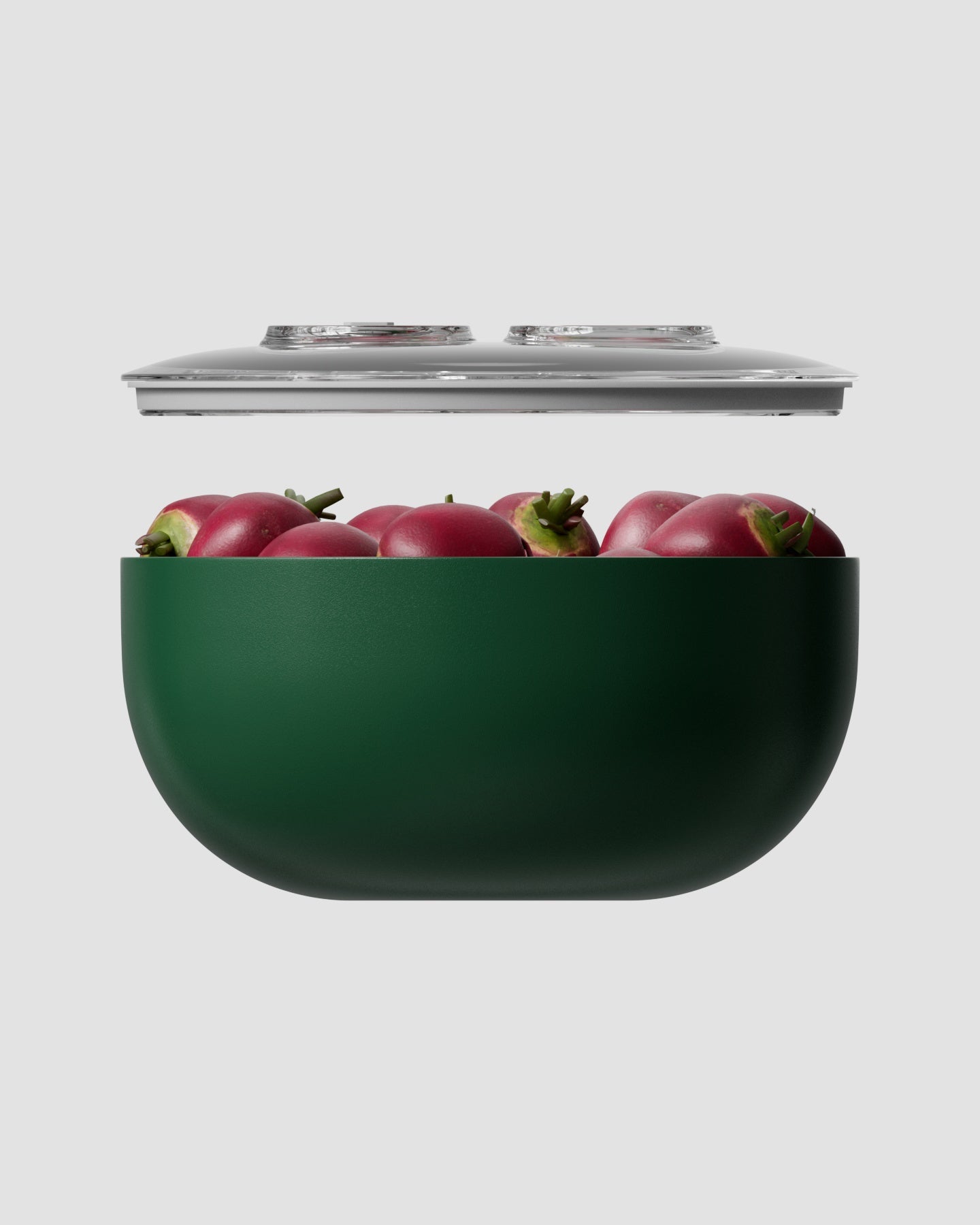 large vacuum seal container green
