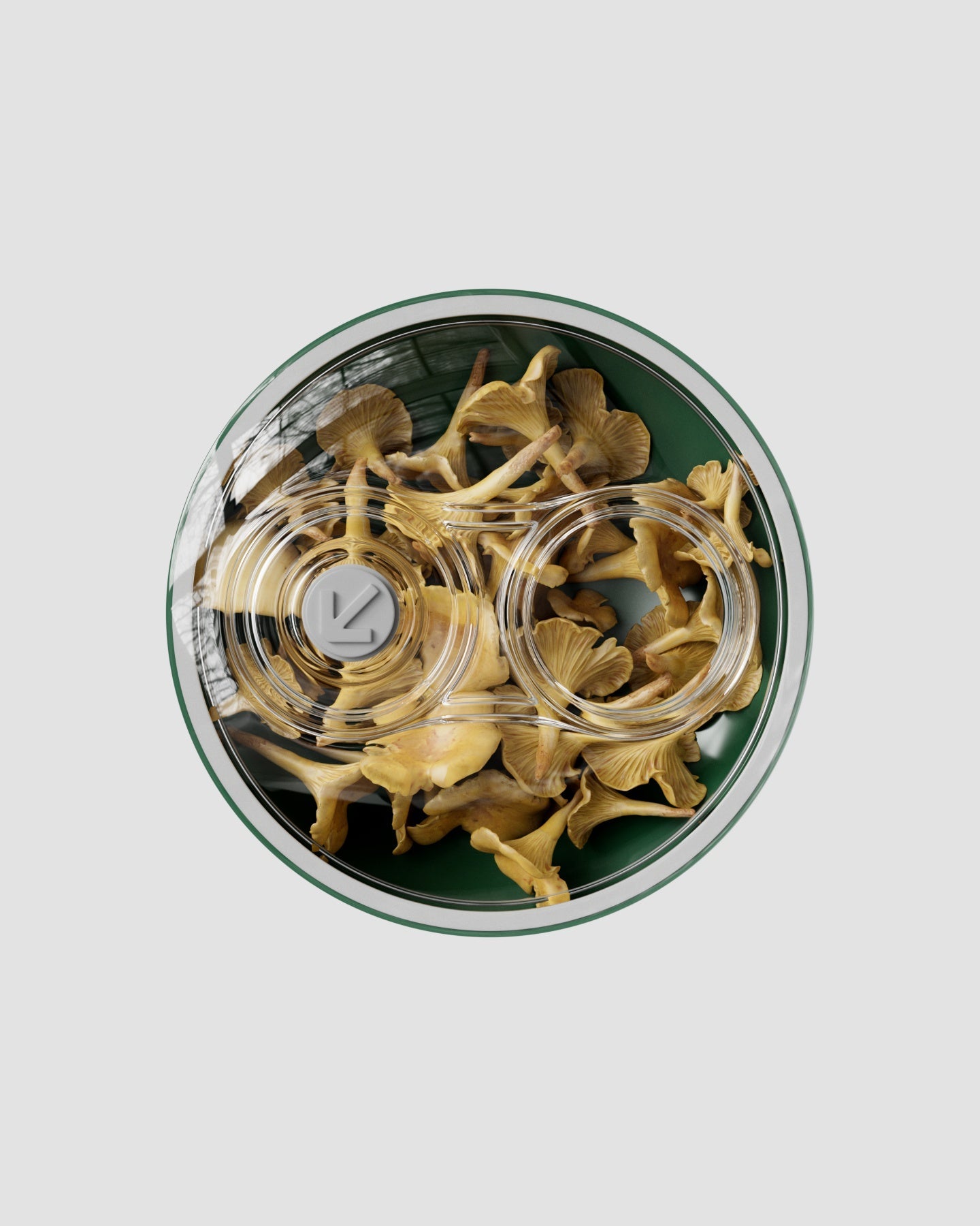 Contenitore Sottovuoto 500 ml | Verde Tartaruga Ridley