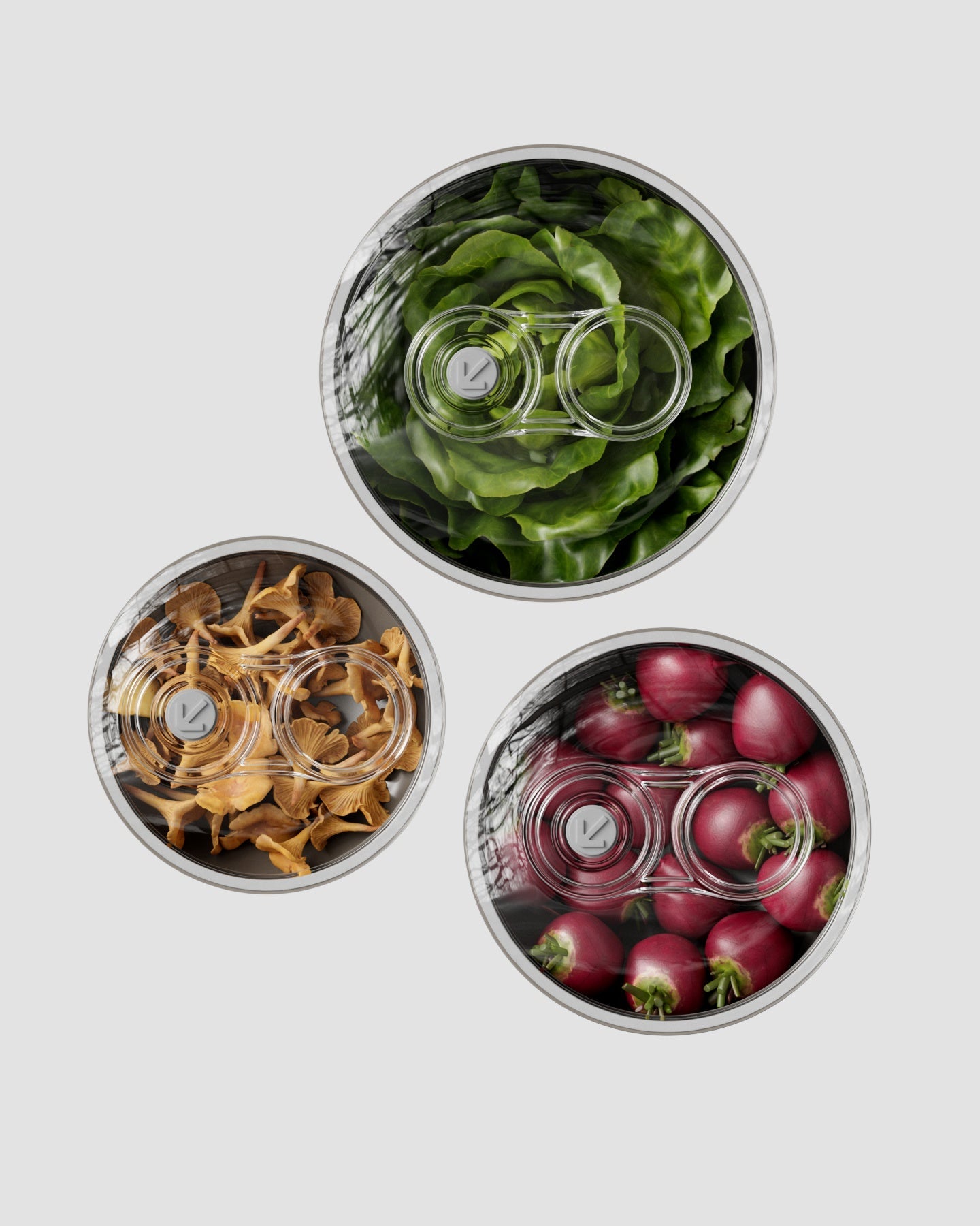 Set Contenitori Sottovuoto | Grigio Rinoceronte di Java
