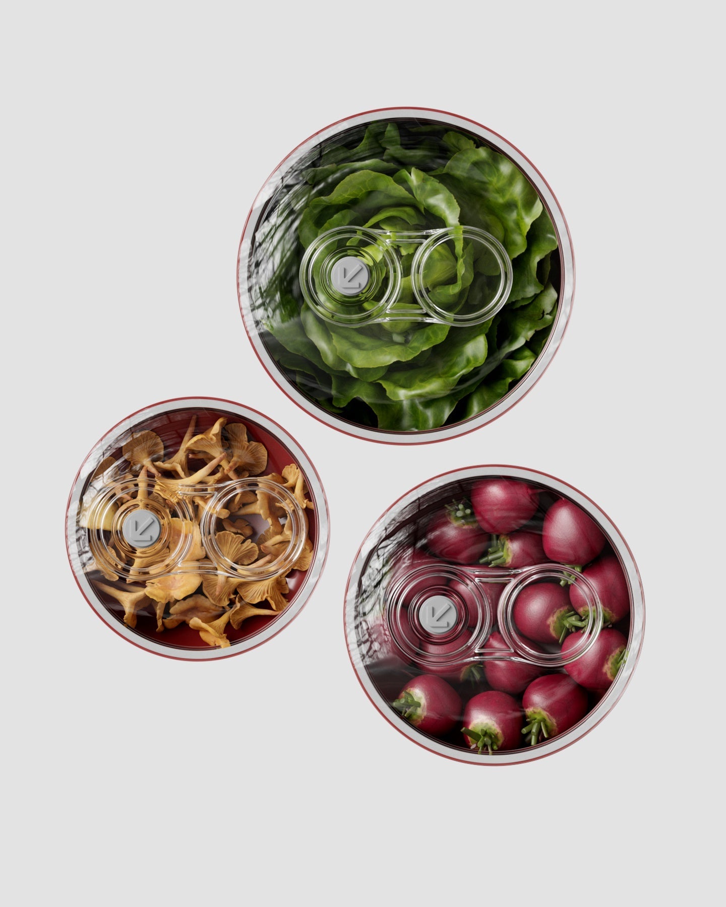 Set Contenitori Sottovuoto | Porpora Corallo